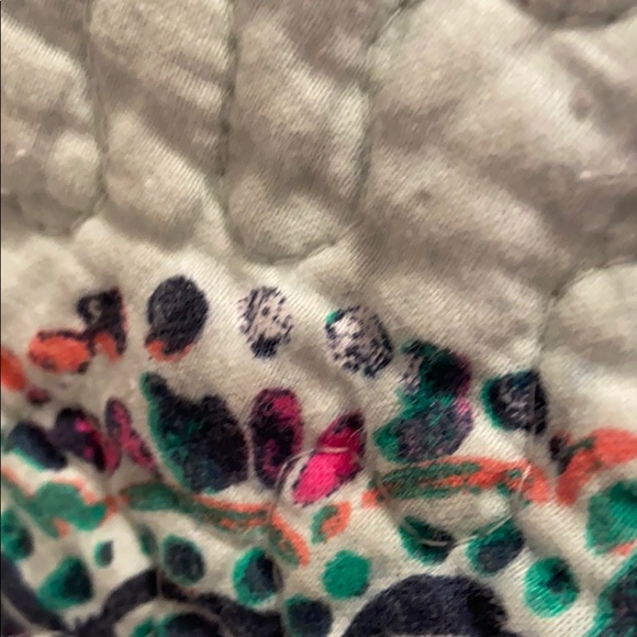 Meet your Posher, Bailey - Picture 1 of 1